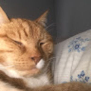 Meet your Posher, Kimberly bock